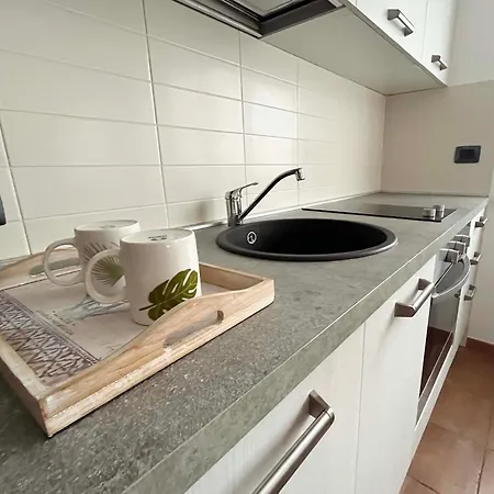 La Magnolia * 알바