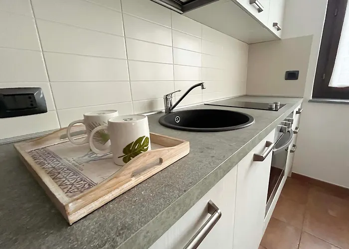 La Magnolia * 알바